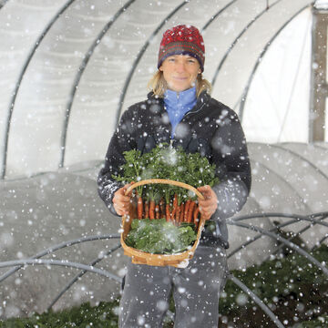 null Recommended for Winter Harvest