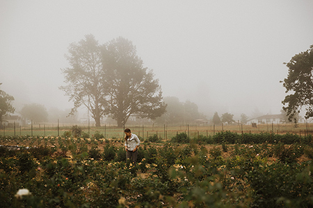 Jennifer McClendon, JenniFlora Farm, Sebastopol, California