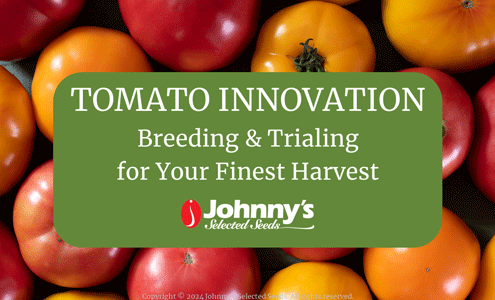 Tomato Innovations: Webinar