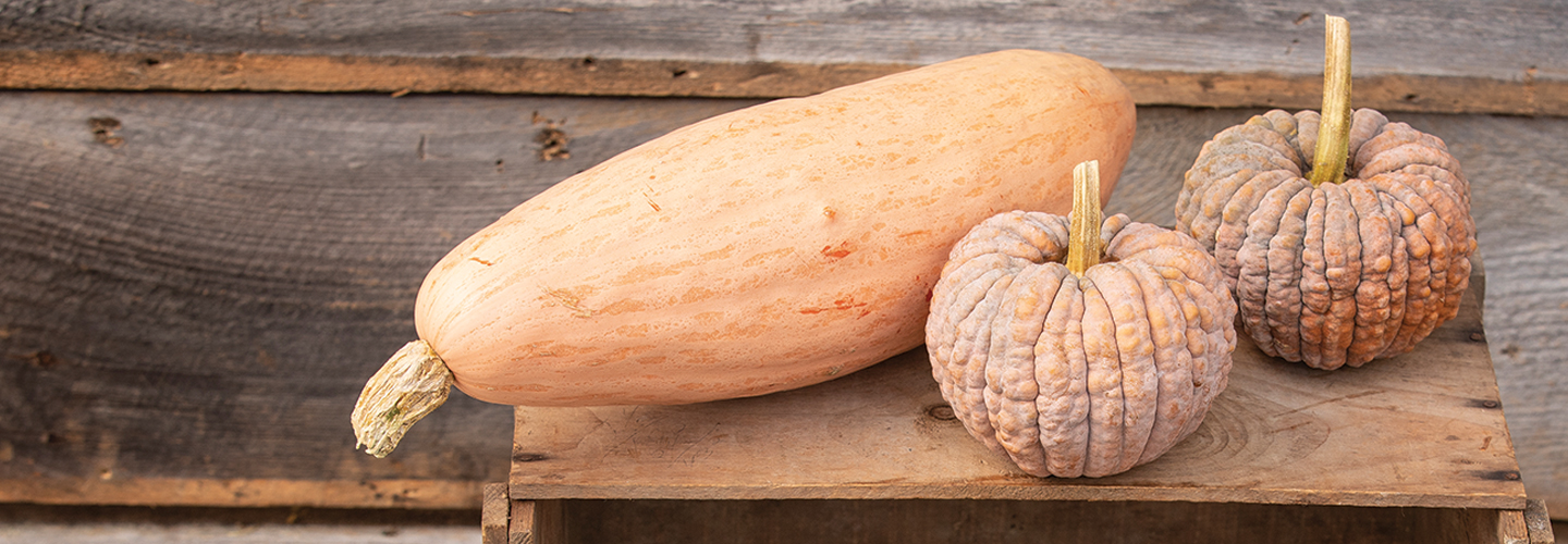 Mixed winter squash