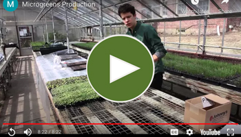 Video on Microgreens Production & ROI