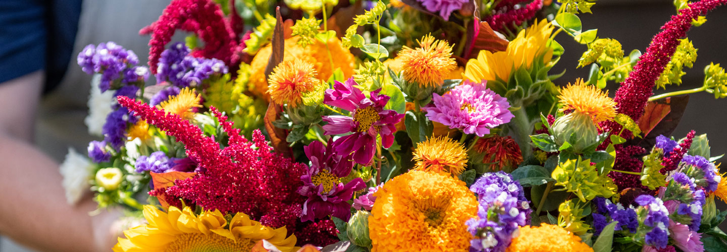Cut Flowers