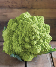 Puntoverde