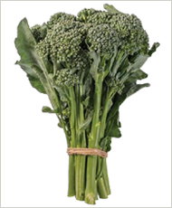 BC1611 Mini Broccoli