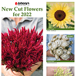New Cut Flowers Brochure