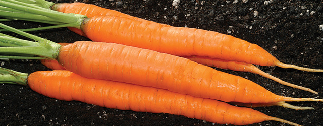 Carrot Growth Chart