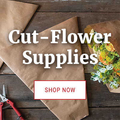 Cut-Flower Supplies