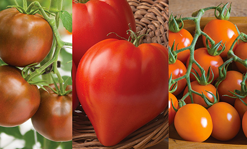 Tomatoes: 10 Unsung Heroes