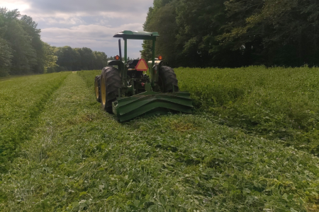 crimping cover crop with a roller-crimper
