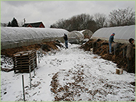 Year-round composting goes hand-in-hand with with year-round community building