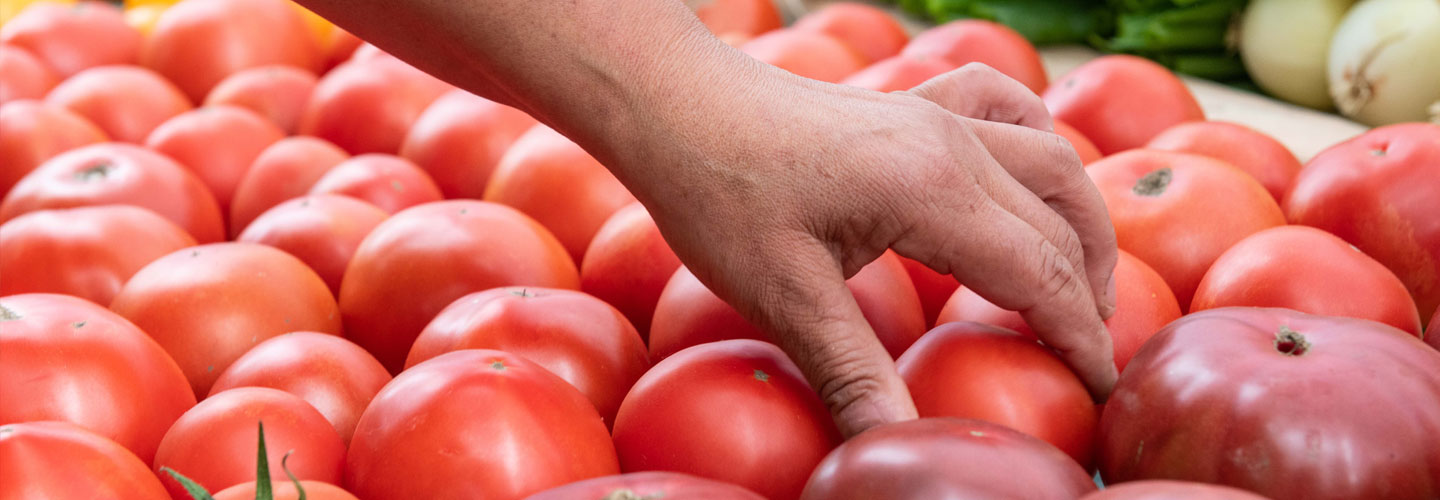 Vegetables Developed by Johnny's