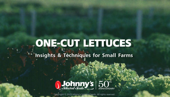 One-Cut Lettuces Webinar Recap/Slideshow • 60-pp PDF