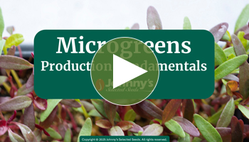 View Our Full Webinar Video