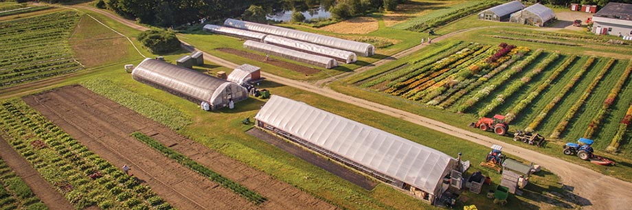 Aerial view, Johnny's Selected Seeds