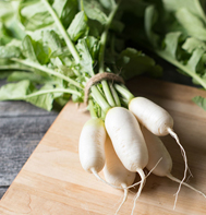 Mini Mak Daikon Radish