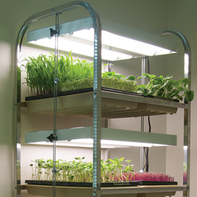 Compact Seedling Light Cart