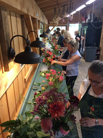 Museum of Fine Arts Boston's floral designers at Maple Flower Farm's Dahlia Workshop