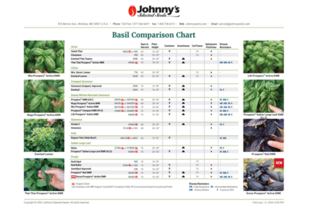 Basil Variety Comparison Chart