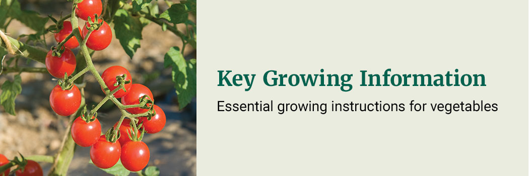 Key Growing Information: essential growing information for veggies