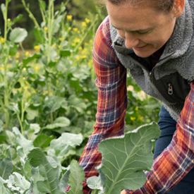 Planting/Harvesting Programs