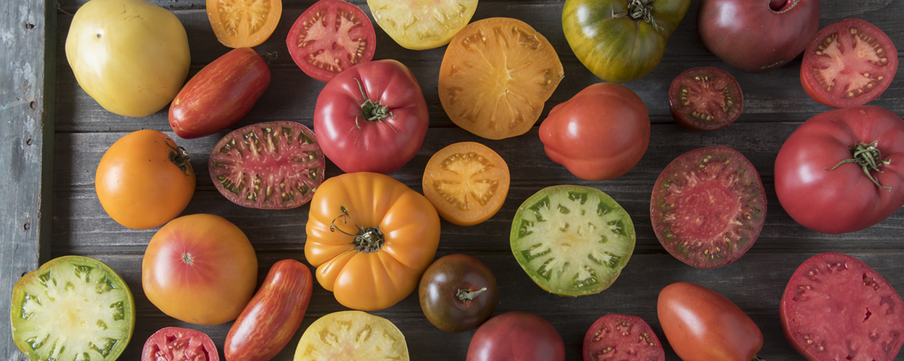 Tomatoes | Key Growing Information Alt text Tomatoes | Key Growing Information Alt text
