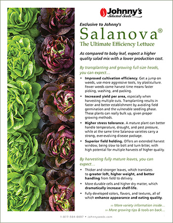 Salanova Lettuce • Brochure • PDF
