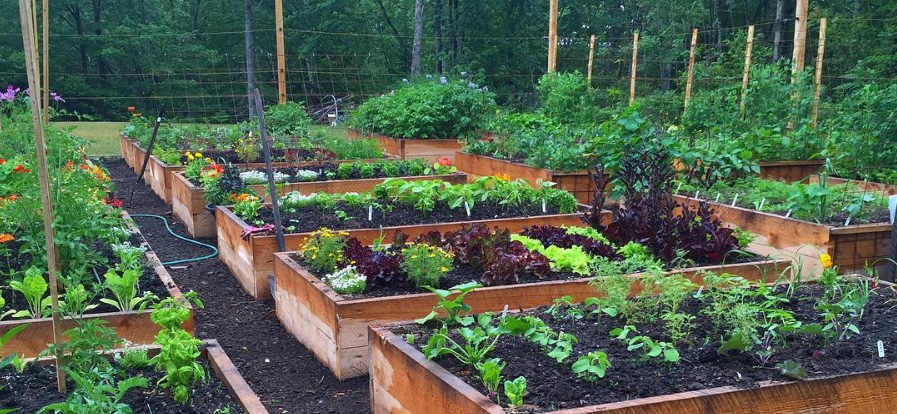 Niki Jabbour's Raised Bed Gardens