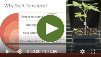 View Our Full Top-Grafting Webinar Video