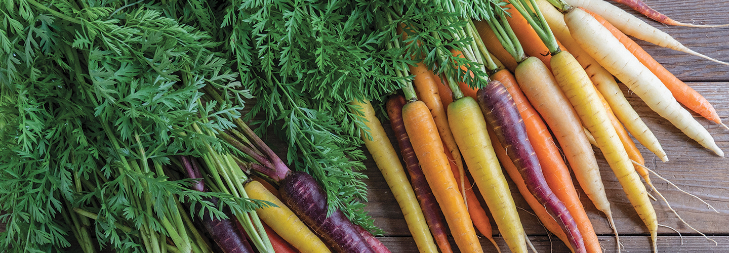 Colored Carrots on Barn Board