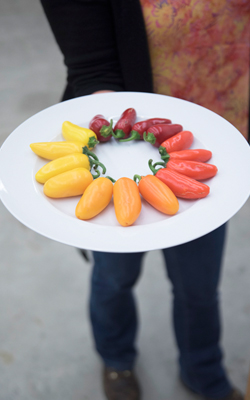 Pepper Platter