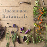 Late-Summer-Early-Fall Floral Design