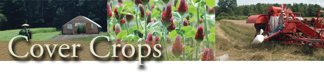 Learn about the advantages of cover crops