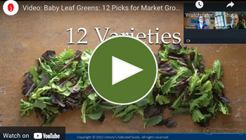View Our Full Baby Leaf Greens: 12 Picks for Market Growers Webinar Video