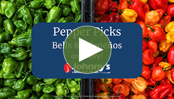 View Our Full Pepper Picks: Bells & Jalapeños Webinar Video