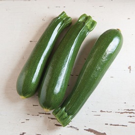 Dunja Organic (F1) Zucchini Squash Seed