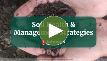 View Our Full Soil Health and Management Strategies Webinar Video