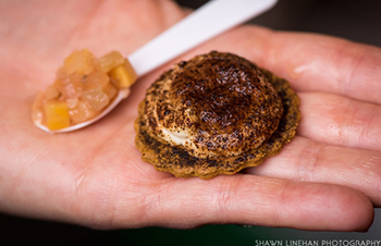 Pureed Tempest chuntney, with Indian-spiced cracker, paneer, and vegetable ash sprinkle