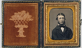 Thoreau's Bean Row