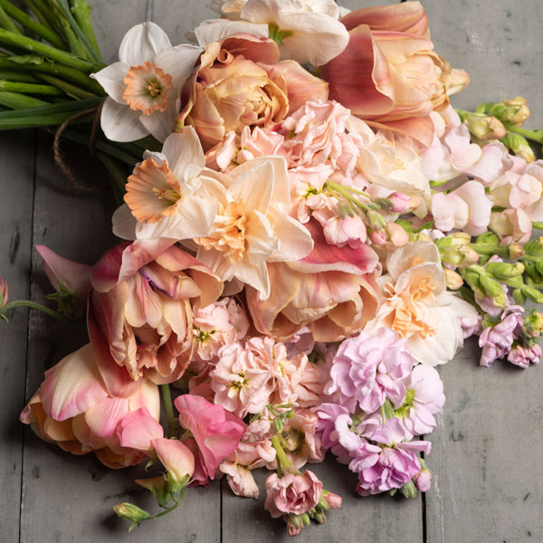 Shop BLUSH Flowers