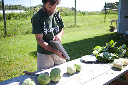 Cabbage Scoring