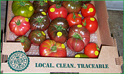 Heirloom Tomatoes Ready for Market