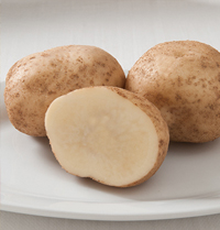 Elba Organic Potato: Good Storage Potential
