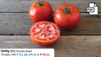 Fresh Picks for 2026 Webinar Slide Deck PDF