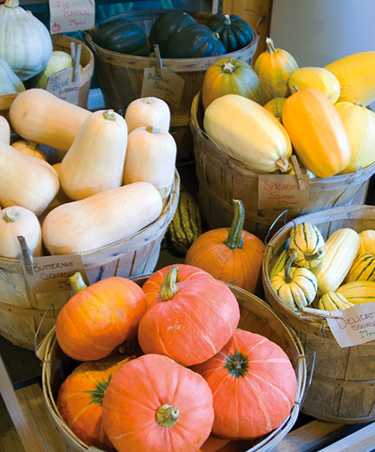 Baskets of winter squash, including delicata, kabocha, butternut, spaghetti, acorn, and blue hubbard.