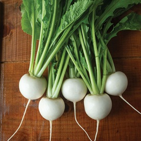 Southeast Grower's Favorites