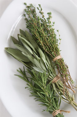 Culinary herbs are always in demand