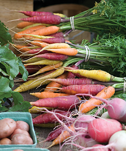 The perfect carrot bunch is within reach