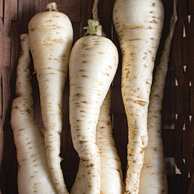 How to Grow Pelleted Parsnip