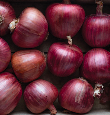 Rossa di Milano Onion