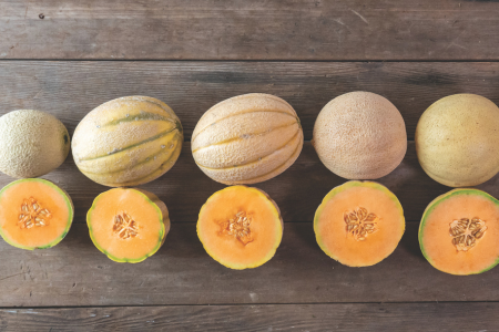 cantaloupe varieties